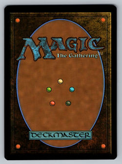 Razorverge Thicket R 0325 Bloomburrow Regular - Image 2