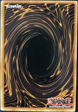 D.D. Warrior Lady MAGO-EN110 Maximum Gold 1st Edition - Yugioh Card - Image 2