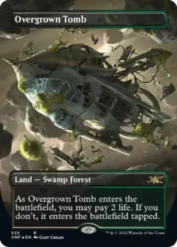 Overgrown Tomb (Borderless) (Galaxy Foil) -Foil Light Play MTG Unfinity - Image 1