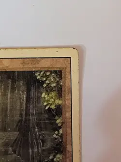 Magic the Gathering Bayou Revised Edition Dual Land. See Pics for Condition - Image 3