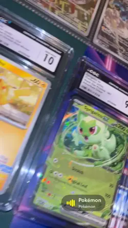 Huge Pokemon Card Lot 20+ EX Promos + Pikachu 214 Winner Gem Mint NM - Image 2