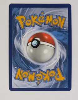 Poke Ball SWSH146 SWSH: Sword & Shield Promo Cards Holo - Image 2