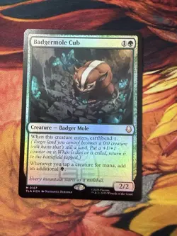 Badgermole Cub - Foil - Avatar: The Last Airbender - TLA M 0167 - Image 4
