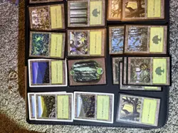MTG Lot Of 25 Forest Cards Various Sets 1999 - Image 3