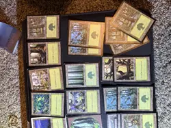 MTG Lot Of 25 Forest Cards Various Sets 1999 - Image 4