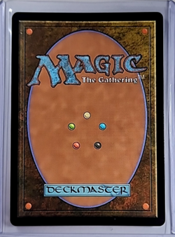 MTG Magic The Gathering WOE Wilds of Eldraine Borderless Foil 306 Restless Spire - Image 2