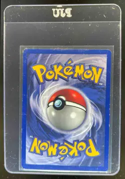 1999 Pokemon Wizards Black Star Promos Electabuzz #2 - Image 2