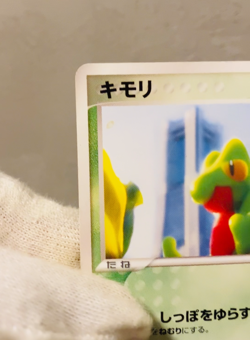 (MP) Treecko 037/PCG-P Pokemon Center Yokohama Promo Card 2005 Japanese 2 - Image 2