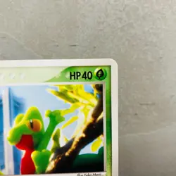 (MP) Treecko 037/PCG-P Pokemon Center Yokohama Promo Card 2005 Japanese 2 - Image 4