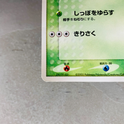 (MP) Treecko 037/PCG-P Pokemon Center Yokohama Promo Card 2005 Japanese 2 - Image 5