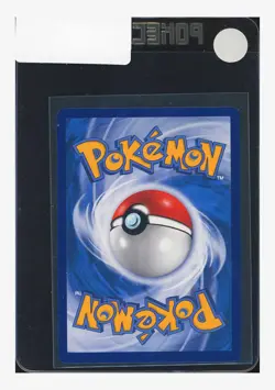 Pokemon Friends In Alola Promo 2023 081/S-P 1ST Anniversary Gift Box S.Chinese - Image 2