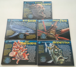 Weird N' Wild Creatures: Monsters of the Deep Cards Pack of 10 Set of 5 (New) - Image 1