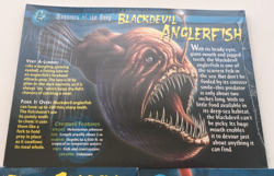 Weird N' Wild Creatures: Monsters of the Deep Cards Pack of 10 Set of 5 (New) - Image 2