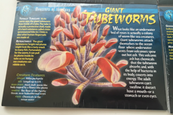 Weird N' Wild Creatures: Monsters of the Deep Cards Pack of 10 Set of 5 (New) - Image 5