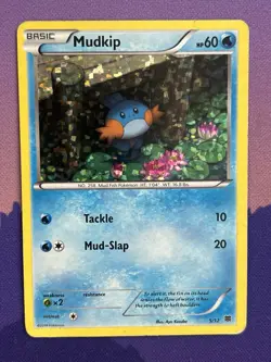 Damaged Mudkip - 5/12 - McDonald's Promo 2015 Pokemon McDonald's Promos 2015 - Image 1