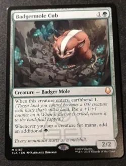 Badgermole Cub - TLA - MTG - EN - NM - 0167 - Image 1