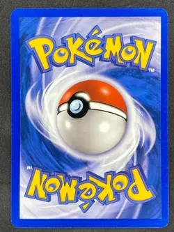 Pokemon Mudkip 65/97 DR EX Dragon NM - Image 2