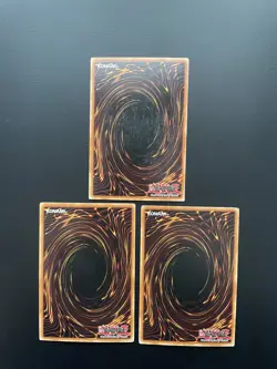 Yugioh Pitch-Black Warwolf RDS-EN026 Common 1st Edition HP X3 - Image 2