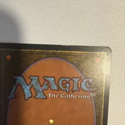 The Rack Revised Edition Regular LP - Image 4