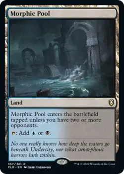 MTG Morphic Pool - 357 / English / Lightly Played - Image 1