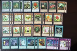 Yu-Gi-Oh! - Complete Naturia Synchro Deck - Image 1