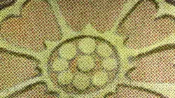 White Lotus Tile (Borderless) MTG Avatar (TLA) - Image 3