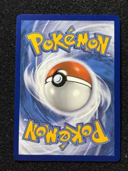 Pokemon TCG Morpeko Paradox Rift 206/182 Holo Illustration Rare Card NM - Image 2