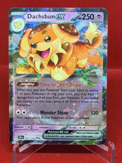 067/142 DACHSBUN EX DOUBLE RARE STELLAR CROWN POKEMON CARD - Image 1