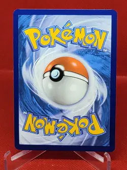 067/142 DACHSBUN EX DOUBLE RARE STELLAR CROWN POKEMON CARD - Image 2
