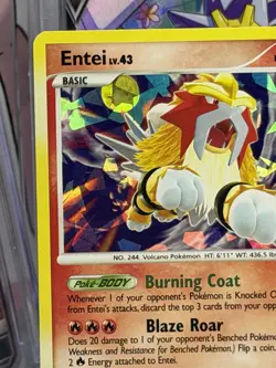 Pokemon TCG - Entei lv.43 4/132 Holo - Secret Wonders - LP/MP - Image 3