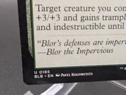 Overprotect Bloomburrow Regular - Image 2