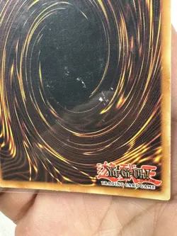 YuGiOh Blue-Eyes Toon Dragon - Dark Beginning 1 DB1-EN066 FOIL MP - Image 3