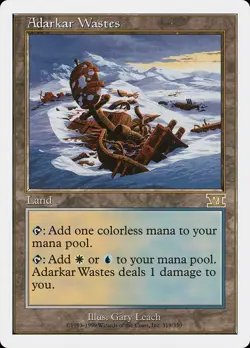 MTG Magic the Gathering Adarkar Wastes (319/351) Sixth Edition HP- - Image 1
