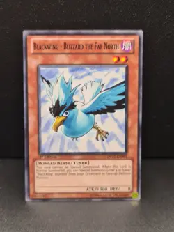 Yugioh Blackwing - Blizzard the Far North DP11-EN003 Common 1st Edition NM - Image 1