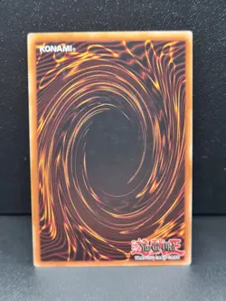 Yugioh Blackwing - Blizzard the Far North DP11-EN003 Common 1st Edition NM - Image 2