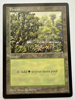 MTG Arena League Oversized 6x9, Forest - Basic Land, Arena 1997 - Image 1