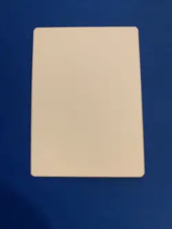 MTG Magic Bearer Of Silence FOIL Signed Artist Proof x1 OGW Tyler Jacobson - Image 2