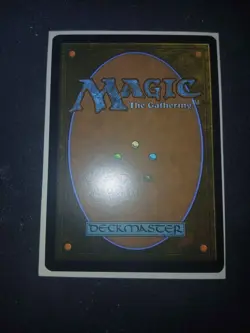 Appa, Steadfast Guardian Nonfoil 0010 - TLA MTG - Image 3