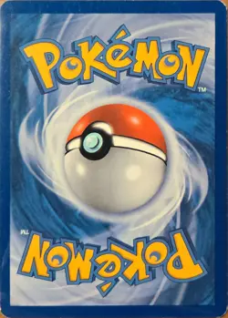 Wartortle - (Premium Collection Promo) Promo Miscellaneous Cards & Products 034/ - Image 2