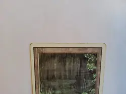 Bayou - Dual Land - Revised 1994 - MtG Magic the Gathering MP - Image 3