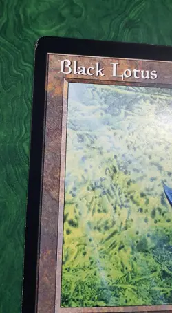 Magic The Gathering Black Lotus Oversized Jumbo 6 1/4" X 8 3/4" promo card 1996 - Image 2