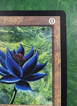 Magic The Gathering Black Lotus Oversized Jumbo 6 1/4" X 8 3/4" promo card 1996 - Image 5
