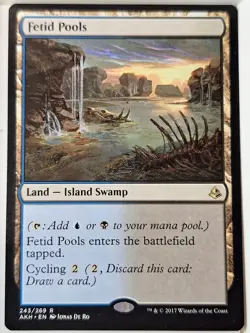 Fetid Pools - Amonkhet - Magic the Gathering MTG Nice! - Image 1