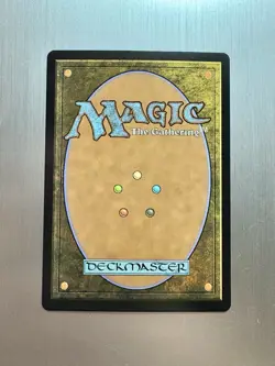 The Lion-Turtle - 328 - MTG Avatar: The Last Airbender - Rare - Borderless FOIL - Image 2