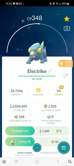 Pokemon Go Shiny Electrike ( XXL ) - Image 1