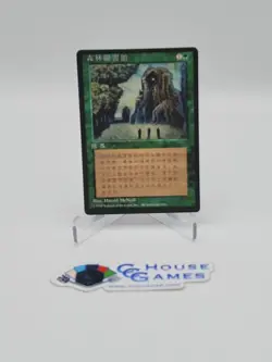 Sylvan Library CHINESE FBB MTG Magic Black Border 4th Edition *CCGHouse* RA - Image 1