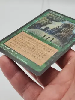 Sylvan Library CHINESE FBB MTG Magic Black Border 4th Edition *CCGHouse* RA - Image 3