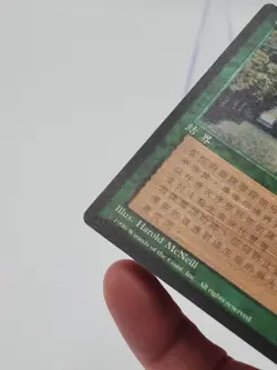 Sylvan Library CHINESE FBB MTG Magic Black Border 4th Edition *CCGHouse* RA - Image 4