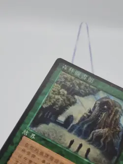 Sylvan Library CHINESE FBB MTG Magic Black Border 4th Edition *CCGHouse* RA - Image 5
