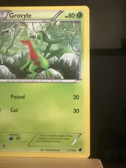 GROVYLE - 7/116 Plasma Freeze NM/LP - Regular Uncommon - Pokemon TCG Card - Image 3